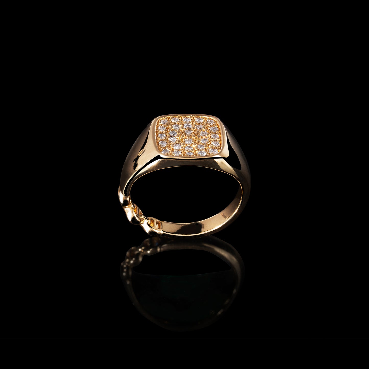 RECTANGLE SIGNET RING WITH DIAMONDS
